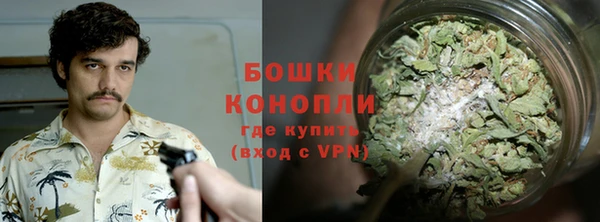 a pvp Богданович