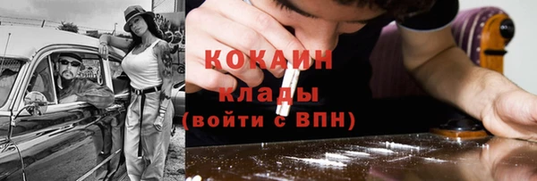 молекула духа Богородицк