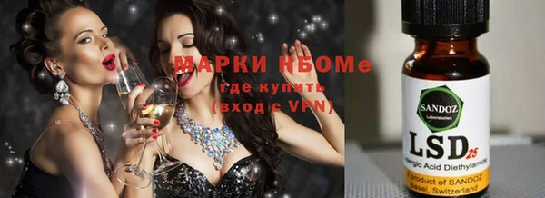 молекула духа Богородицк