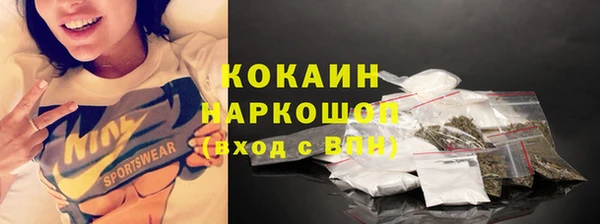 молекула духа Богородицк