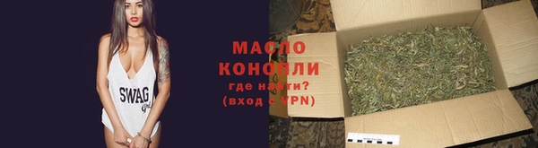 молекула духа Богородицк