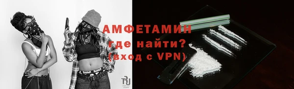 молекула духа Богородицк