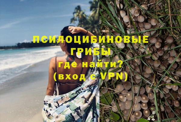 ALPHA-PVP Богородск