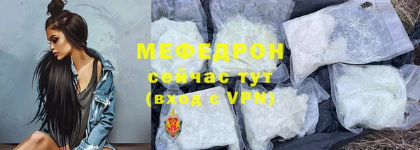 молекула духа Богородицк