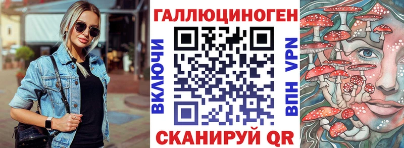 Псилоцибиновые грибы Psilocybine cubensis  Дно 